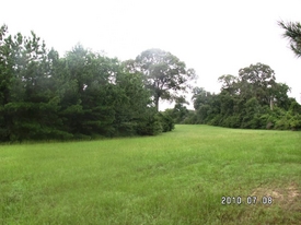 buy Huge Lot at Deerwood Lakes Hempstead Houston Texas